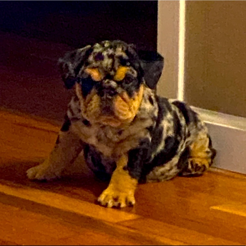 Meet your Posher, Joanna